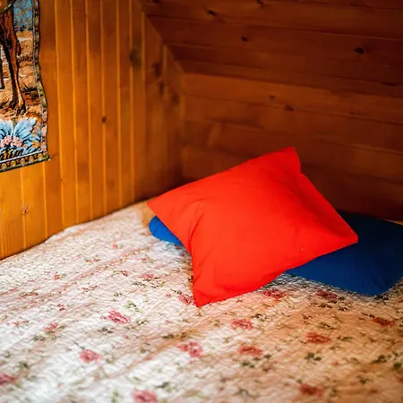 Panorama * Bohinji-tó